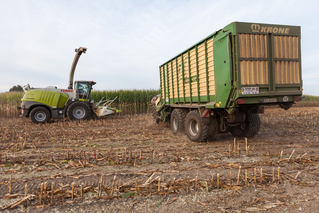 Bild 95 - Maisernte 2016